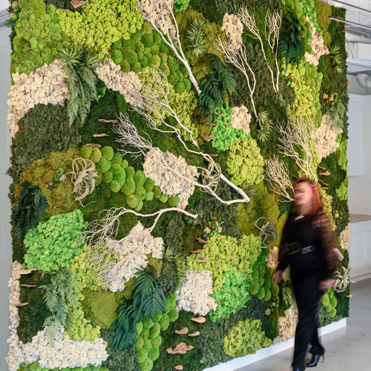 Why a Zero-Maintenance Moss Wall is the Perfect Fit for Your Business or Commercial Space