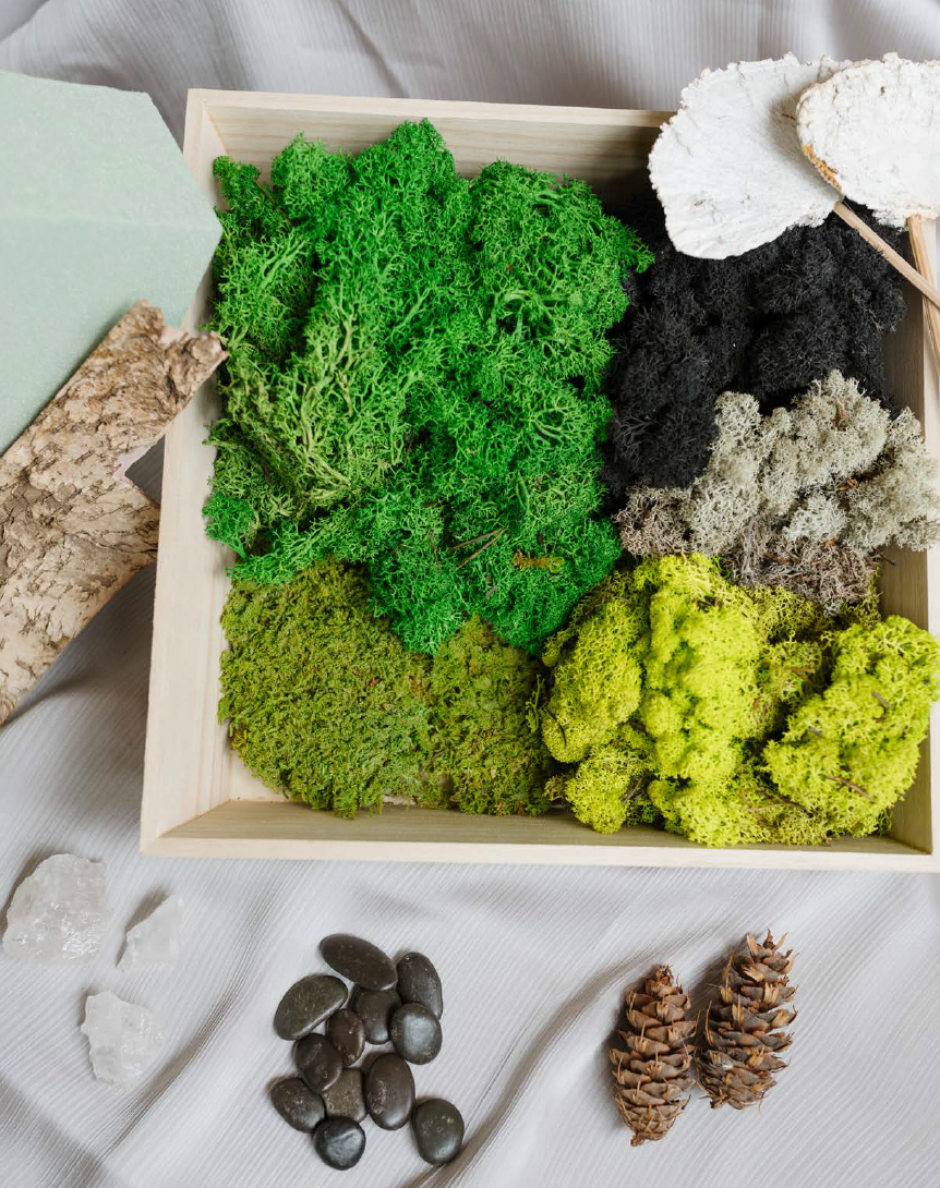 The Ultimate Guide To Moss Wall Art: Sustainable Luxury For Modern Interiors
