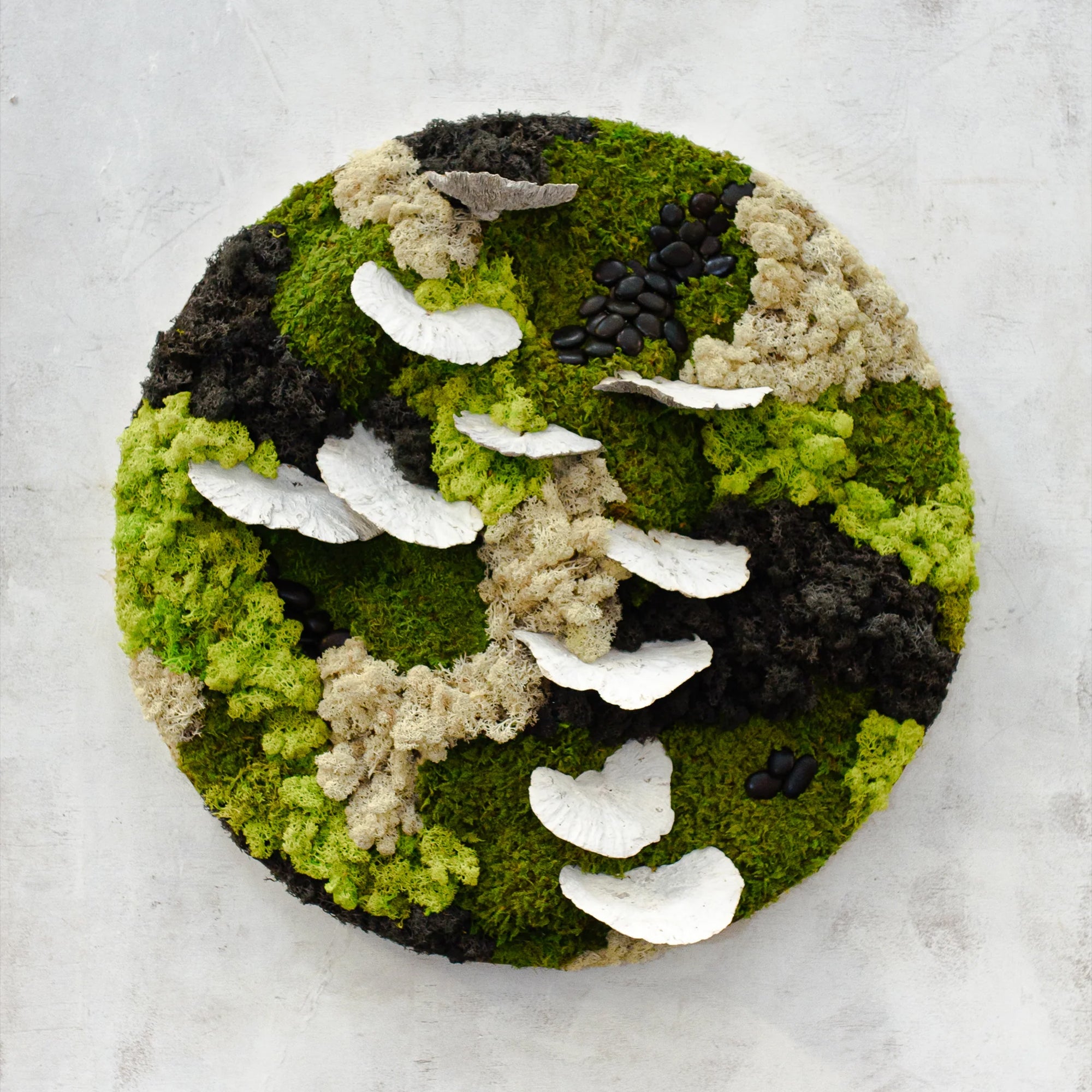 Custom Moss Wall - Circle