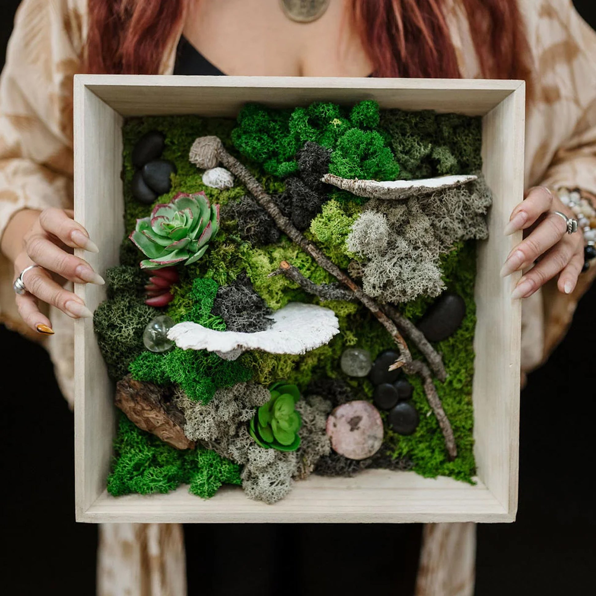 moss succulent wall Moss Wall Kit – The Botaness