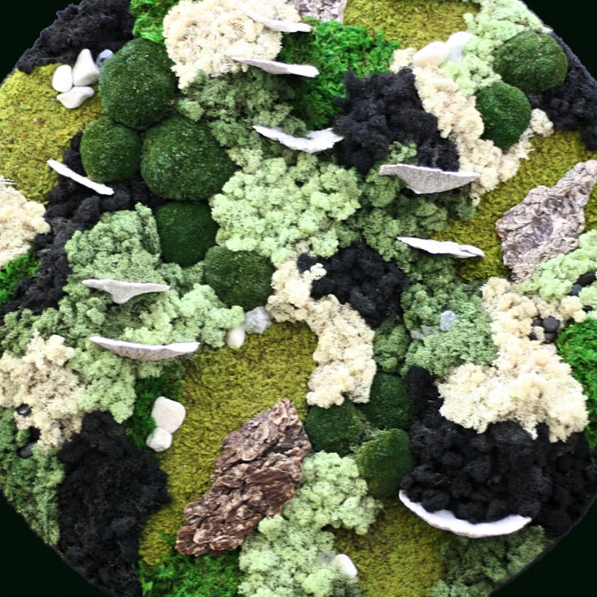 Custom Moss Wall - Circle