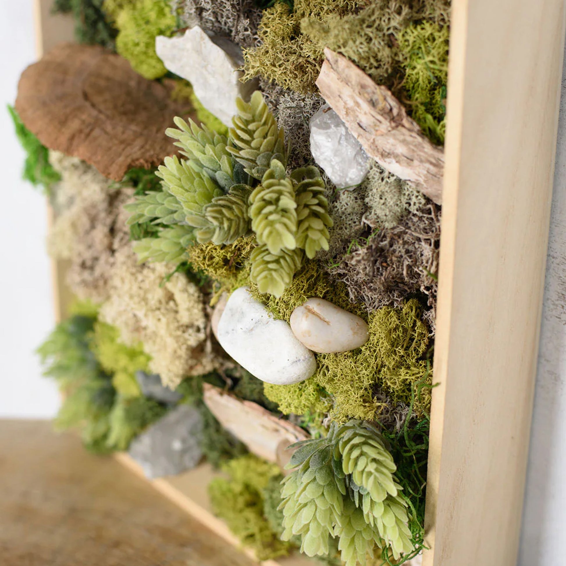 succulent moss wall art Moss Wall Kit – The Botaness