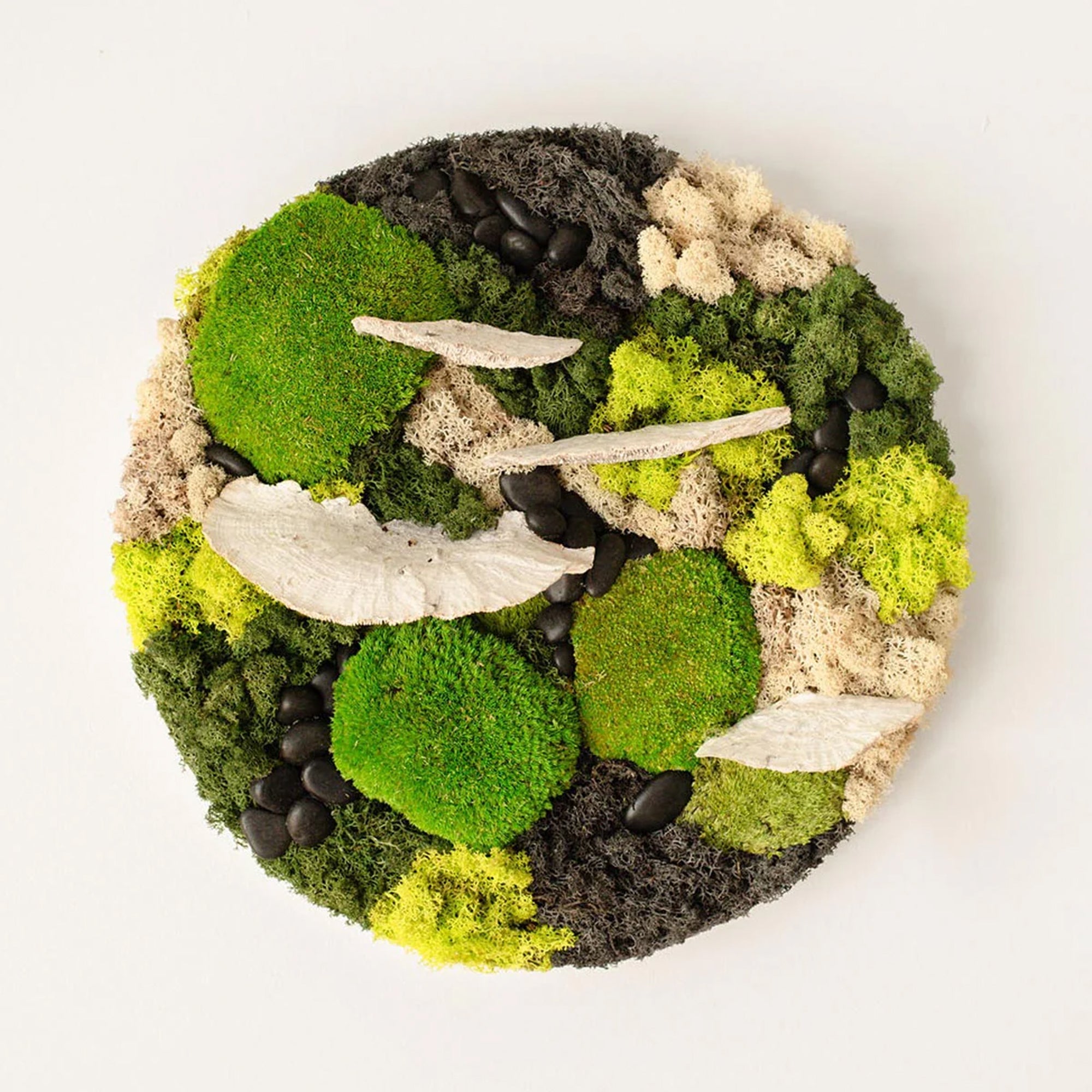 Custom Moss Wall - Circle