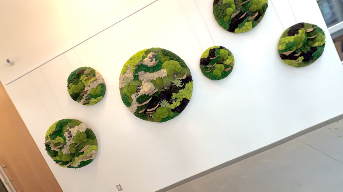 The Stillness Between Circle Collection