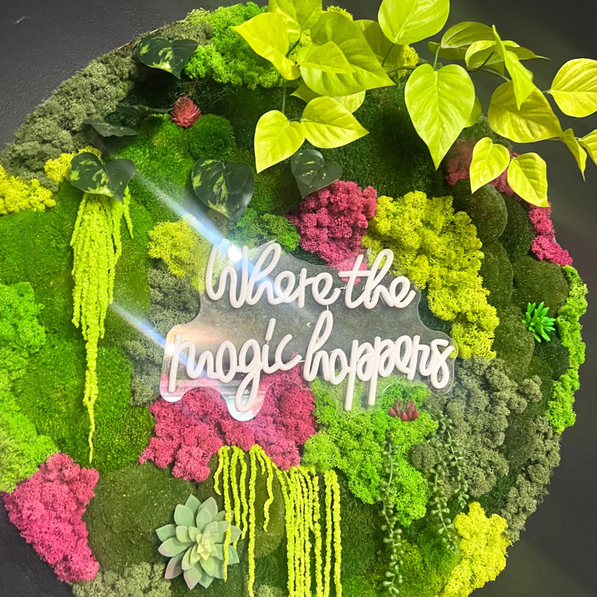 Where The Magic Happens