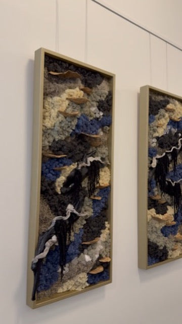 Faultline Installation