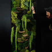 Custom Framed Moss Wall - Rectangle