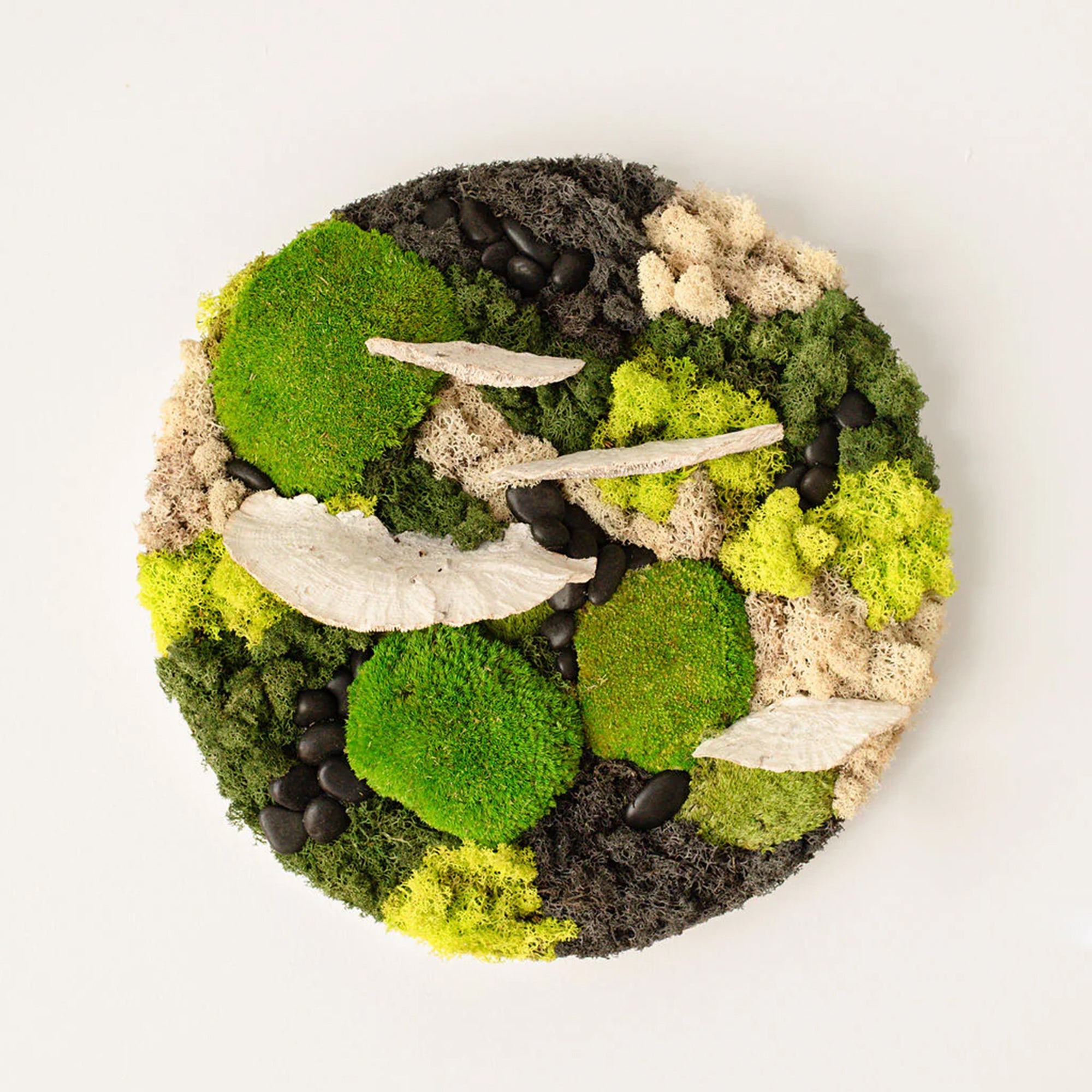 Circle Moss Wall