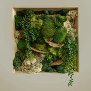 Square Moss Wall