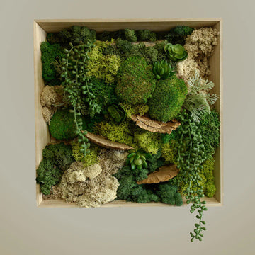 Square Moss Wall