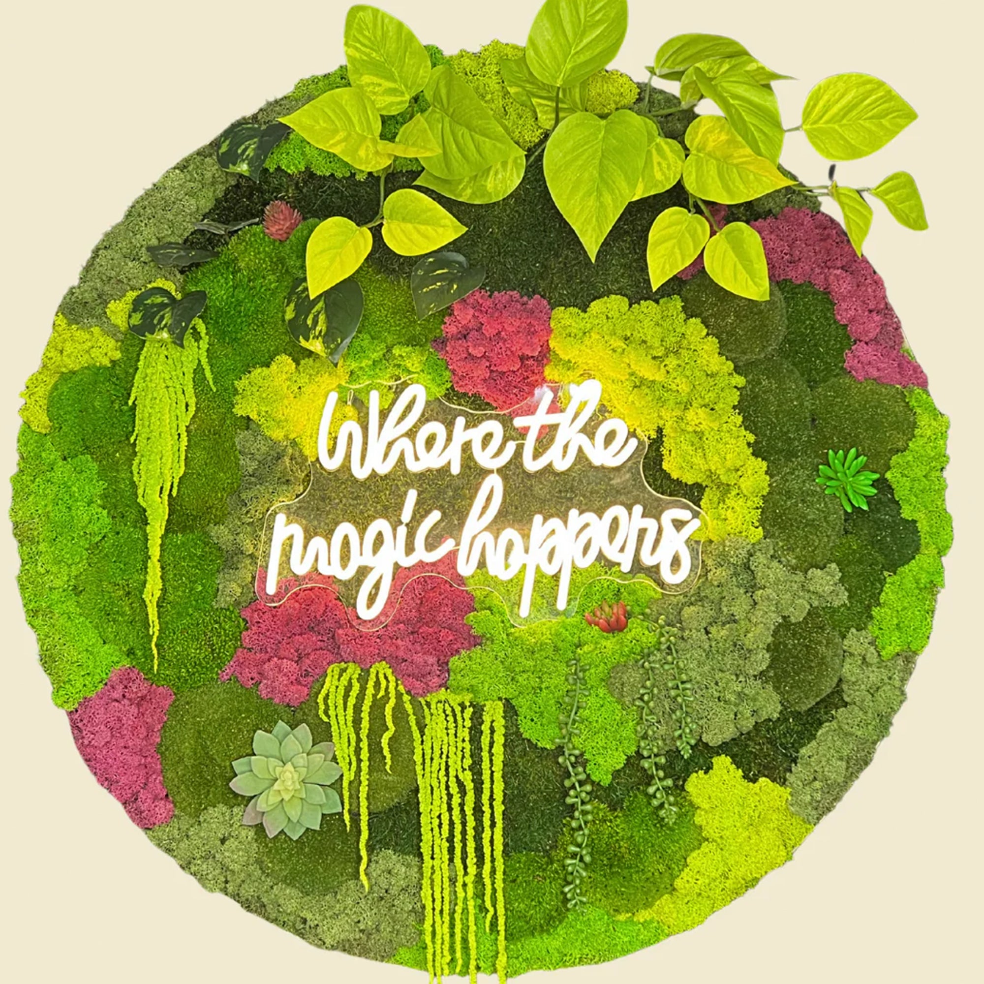 Where The Magic Happens