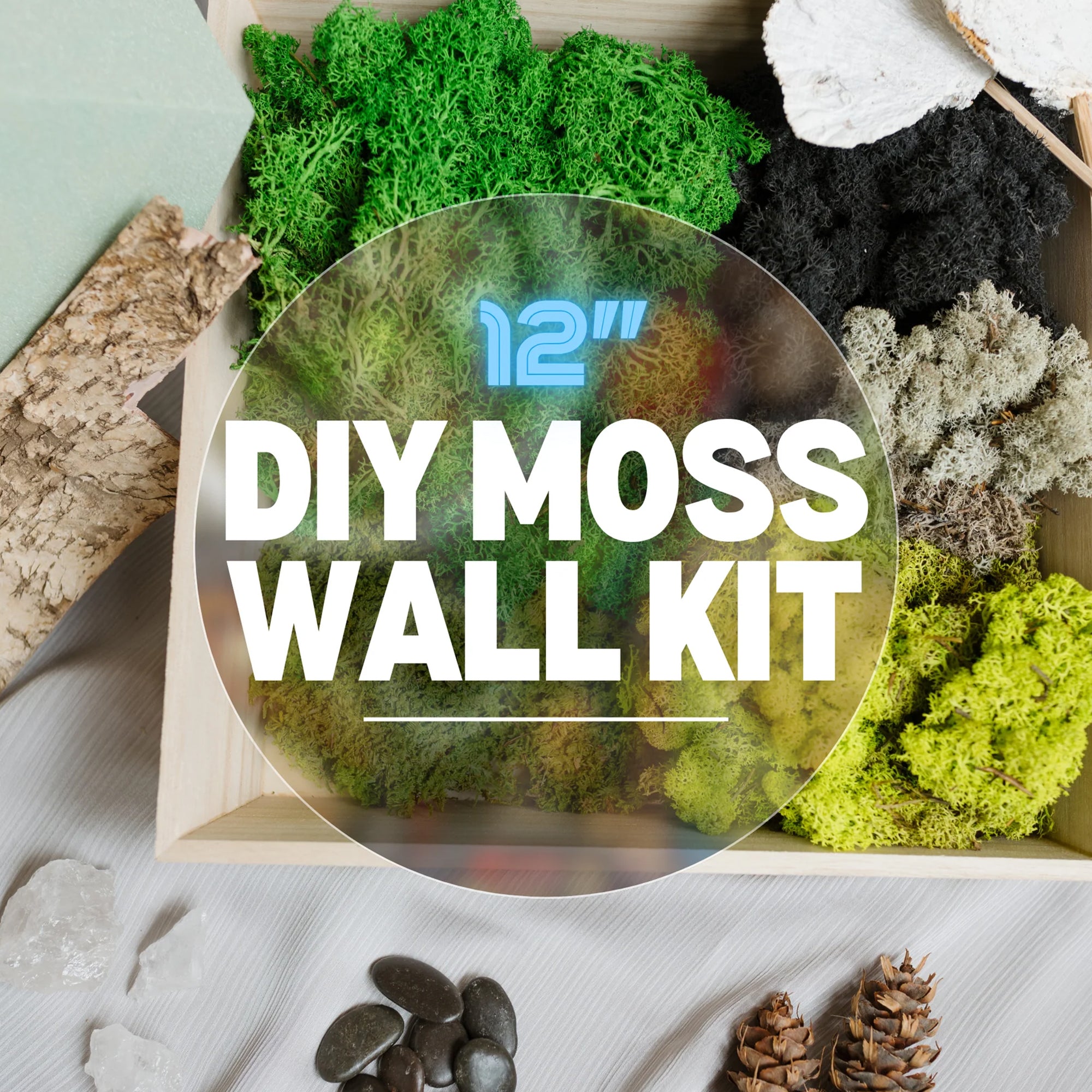 Moss Wall Kit
