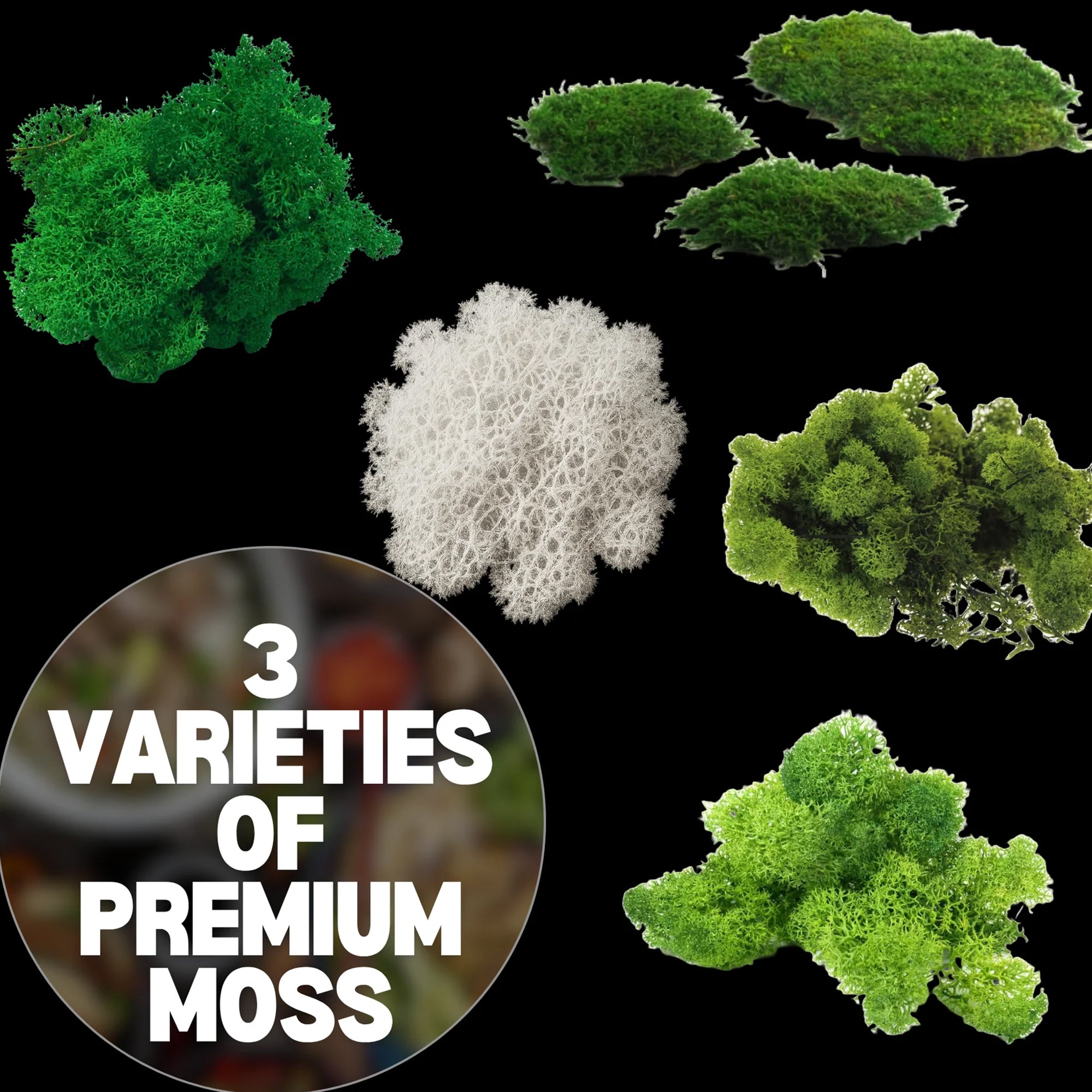 Moss Wall Kit