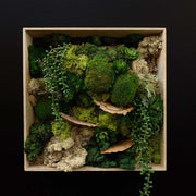 Custom Framed Moss Wall - Square
