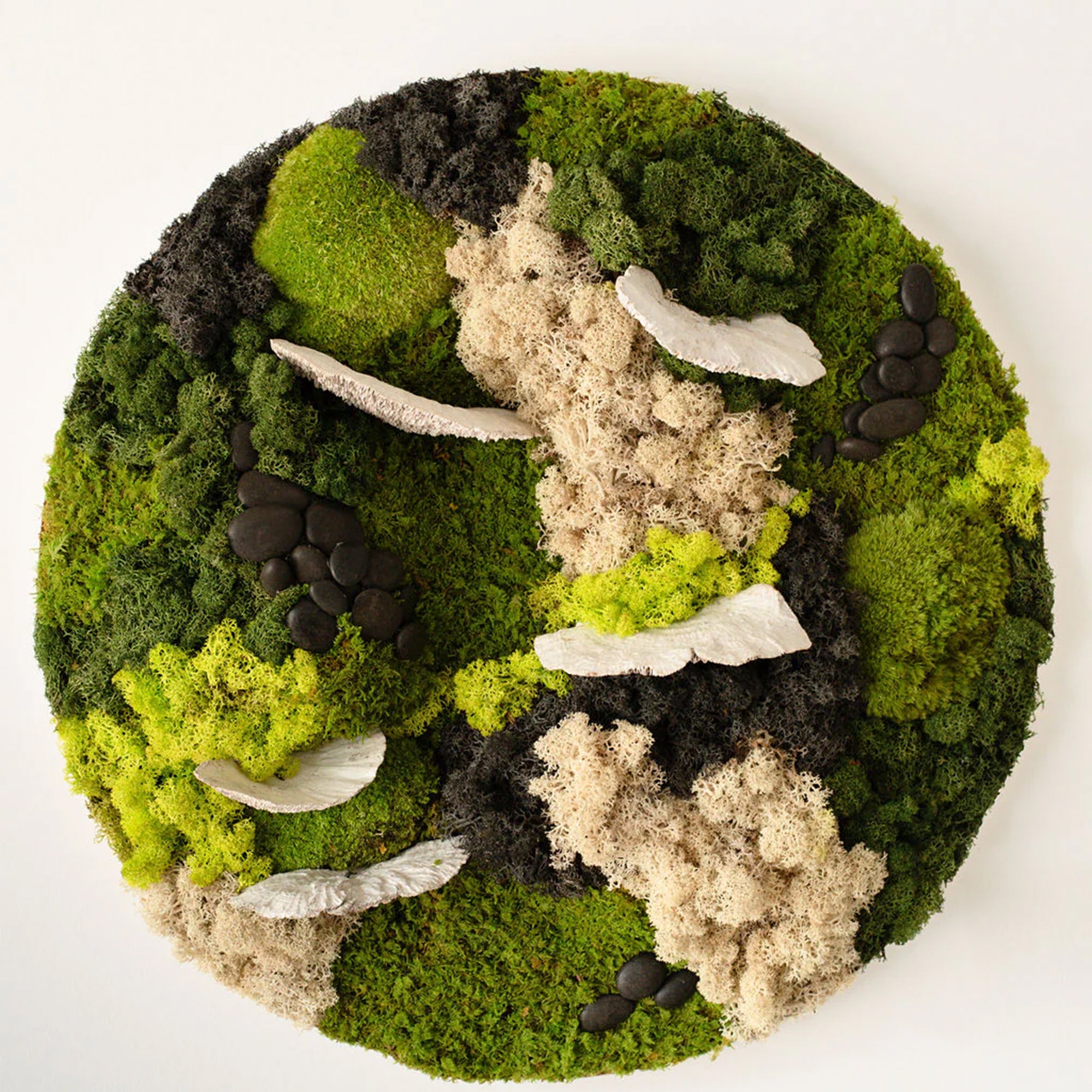 Circle Moss Wall