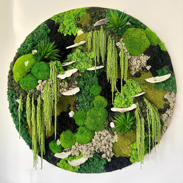 Frameless Moss Wall - Circle