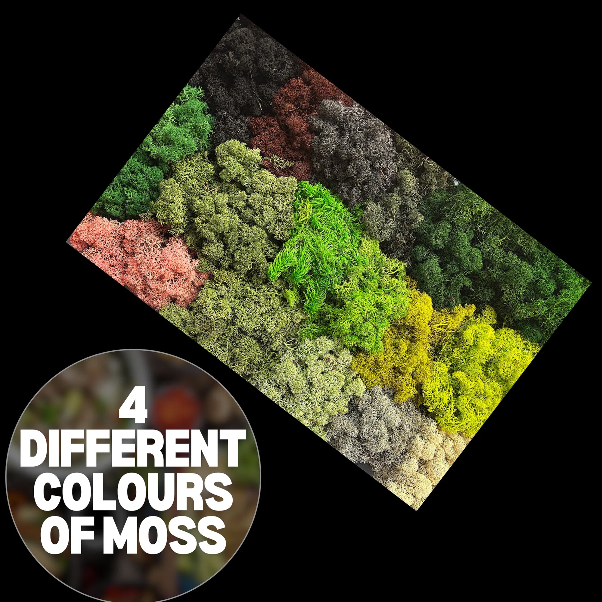 Moss Wall Kit