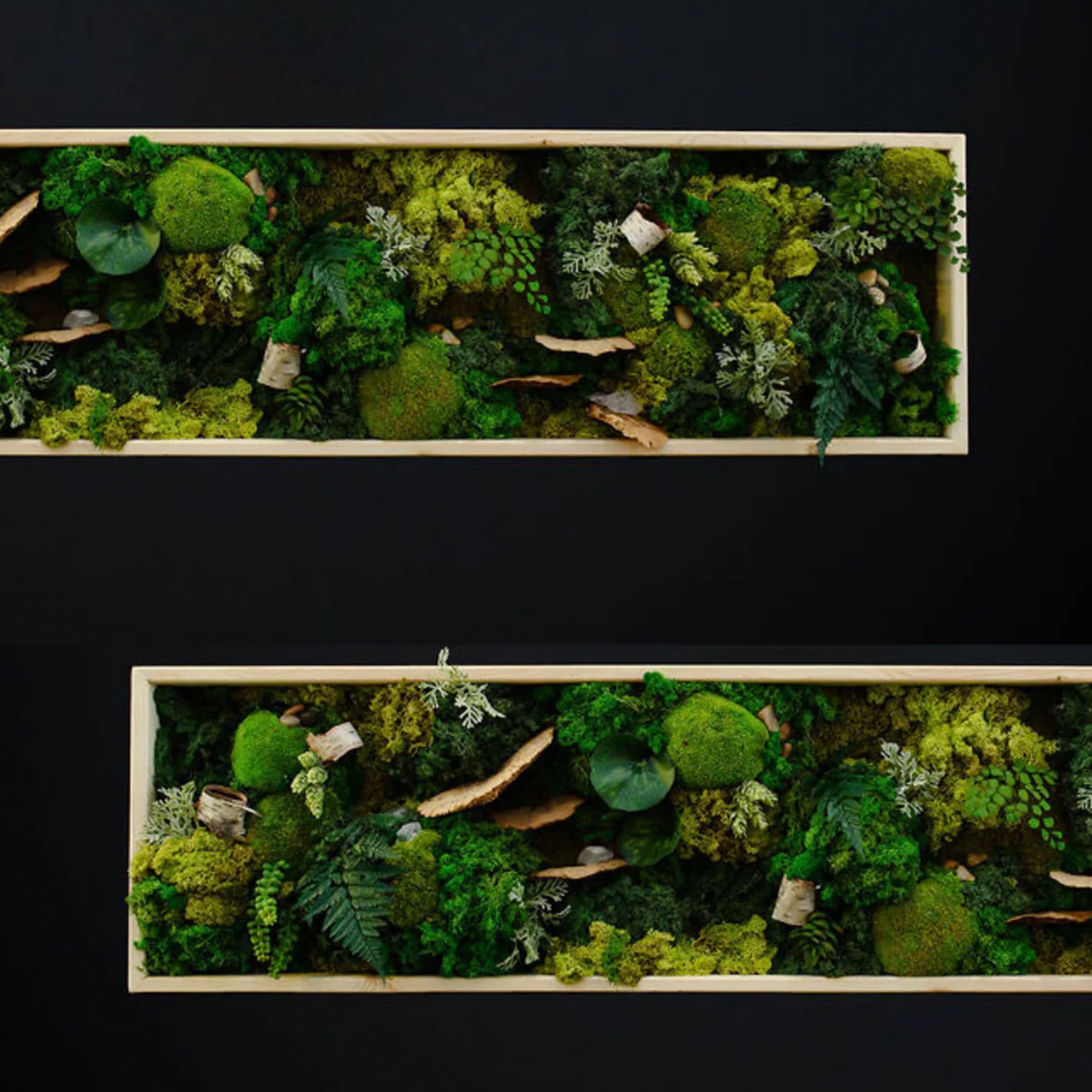 Custom Framed Moss Wall - Rectangle