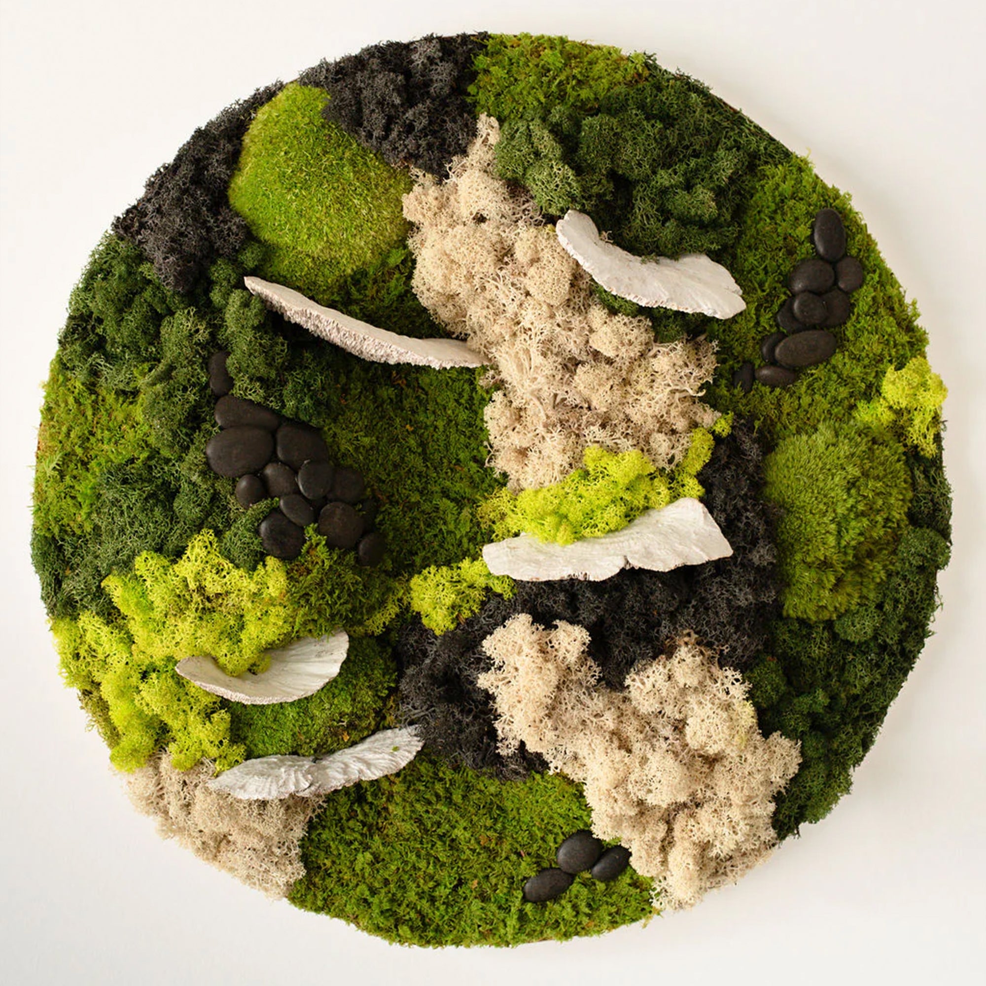 Custom Moss Wall - Circle