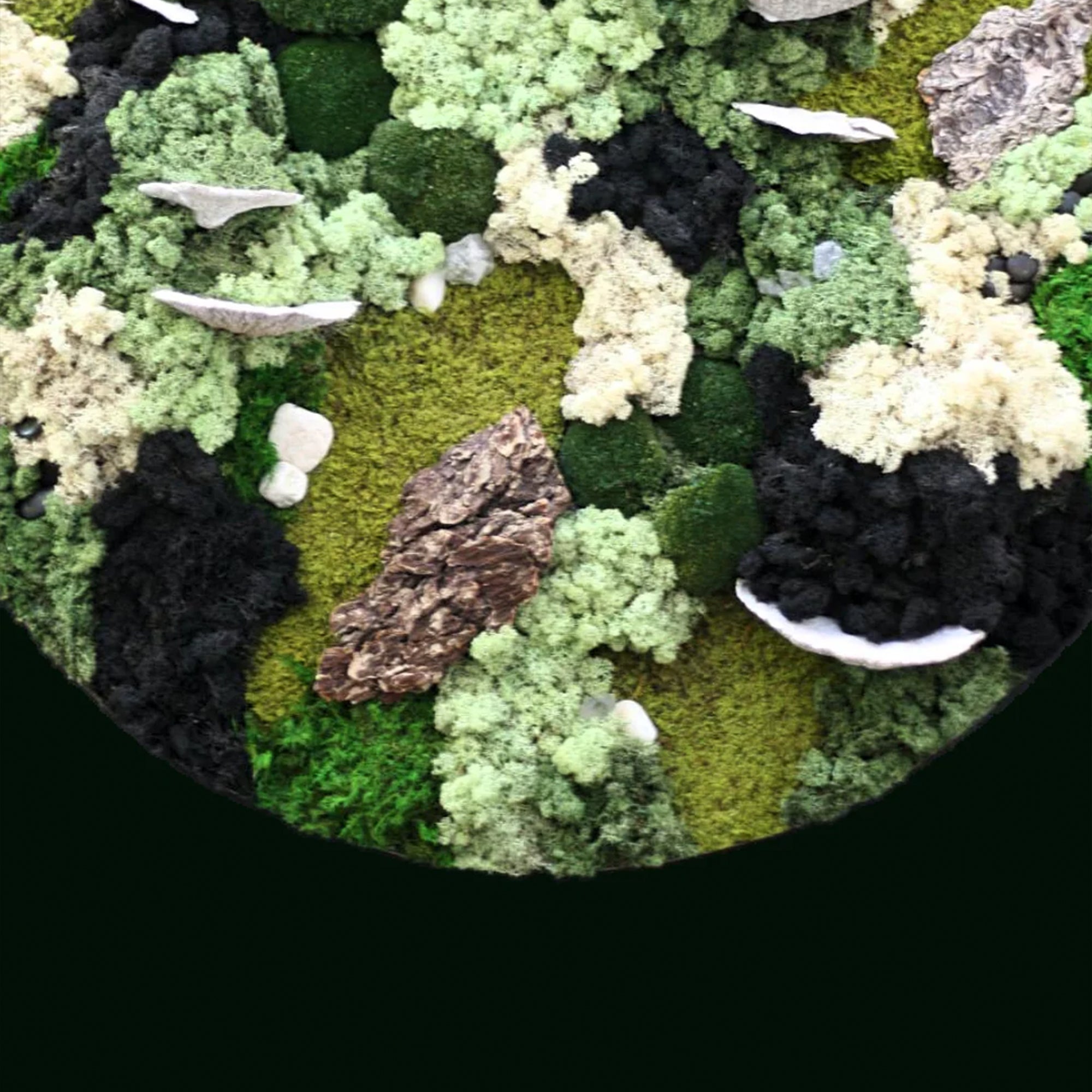 Circle Moss Wall