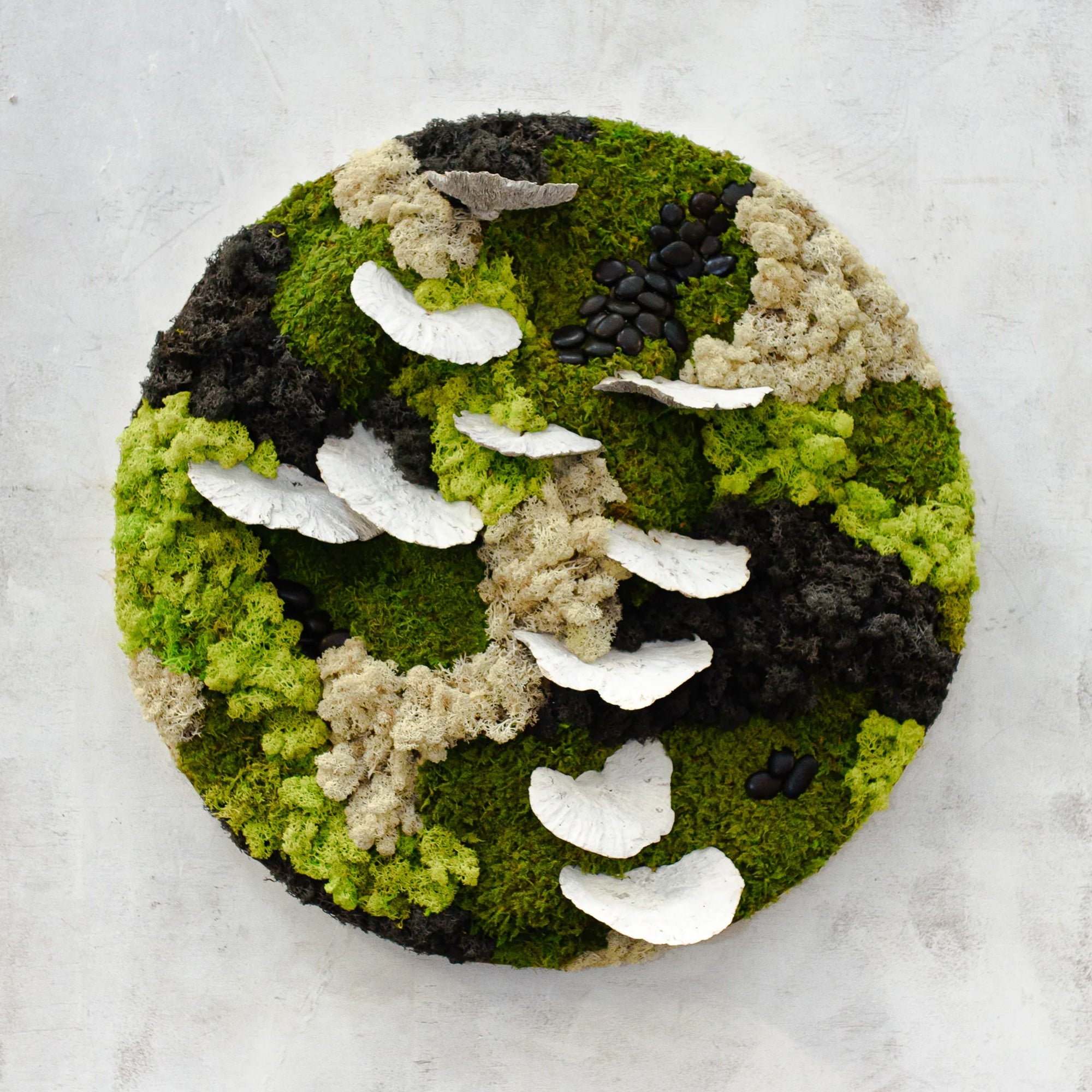 Circle Moss Wall