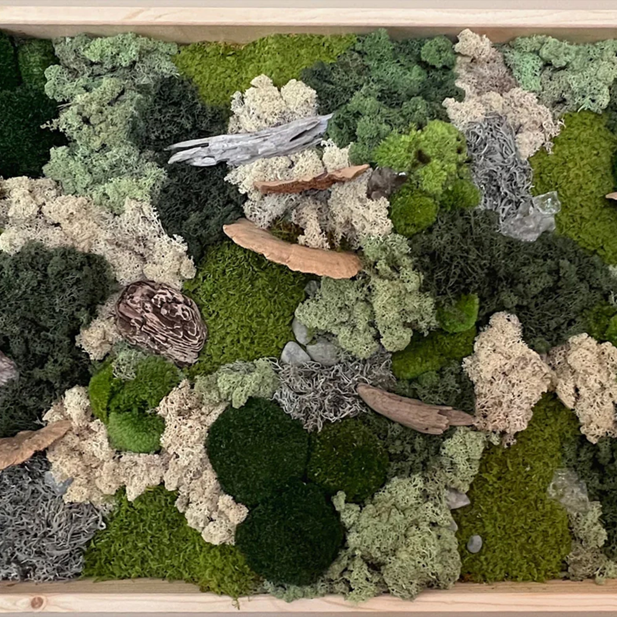 Custom Framed Moss Wall - Rectangle