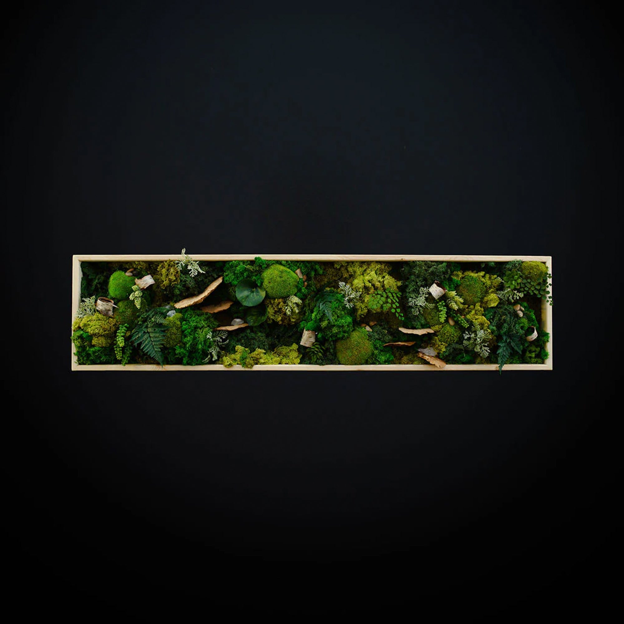 Custom Framed Moss Wall - Rectangle