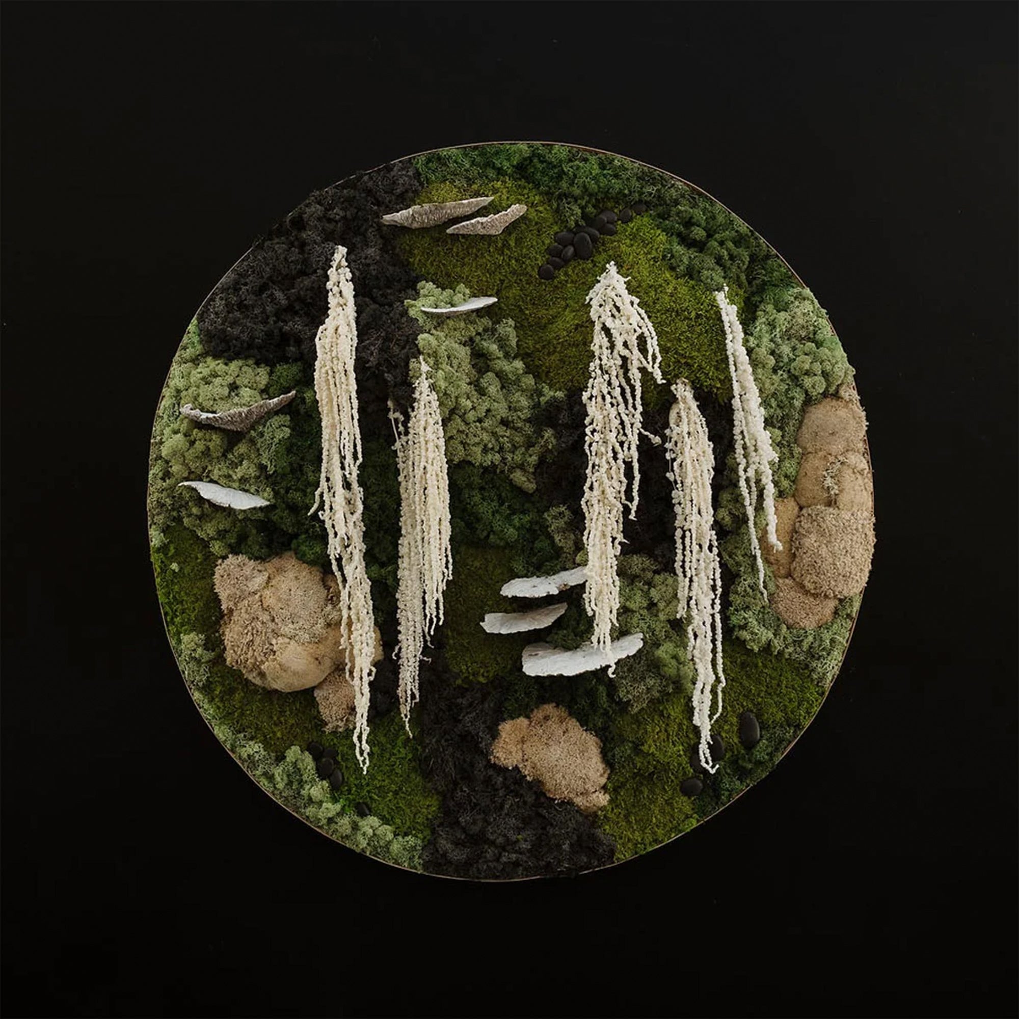 Custom Moss Wall - Circle