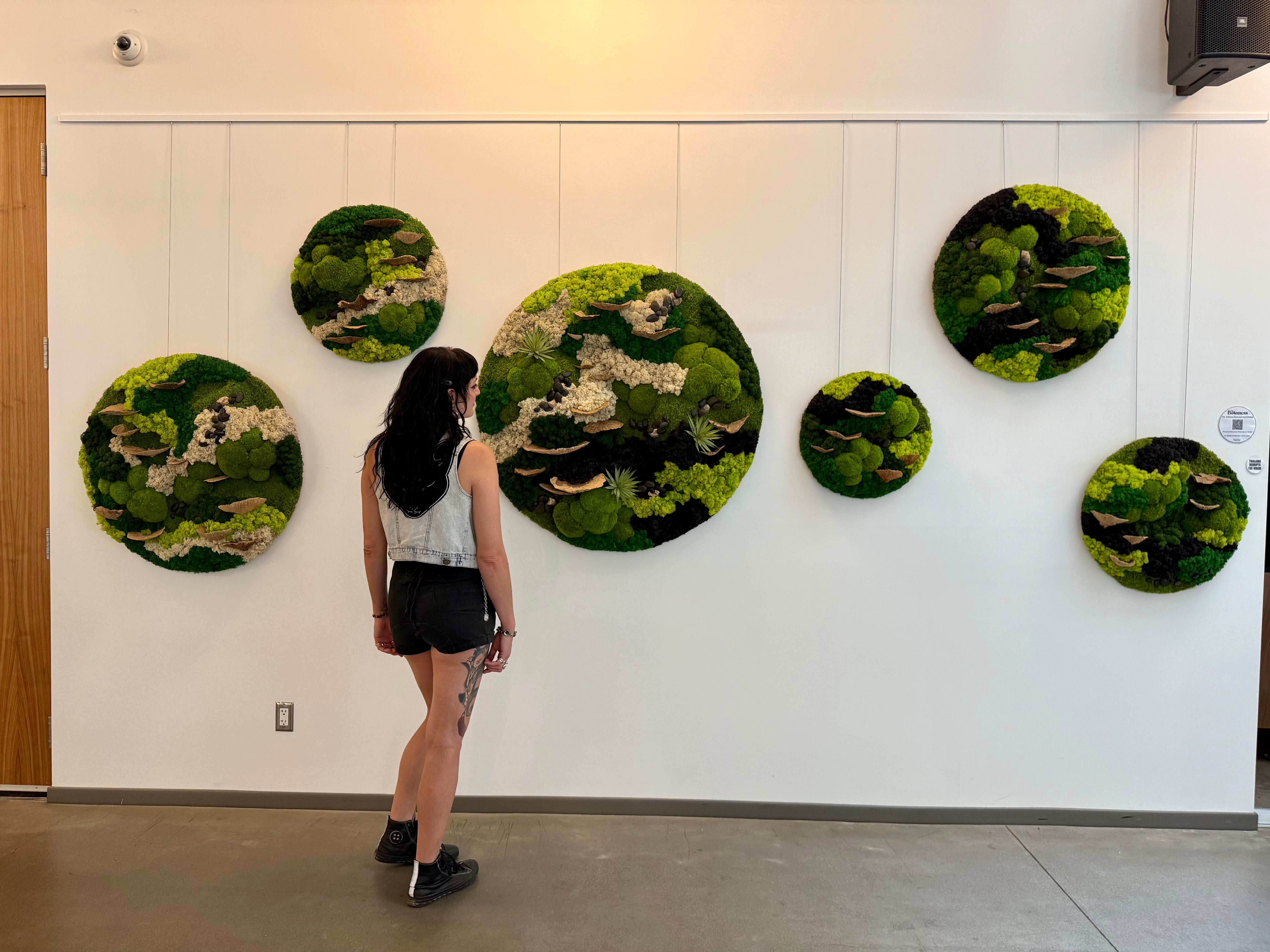 The Stillness Between Circle Collection