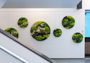 The Stillness Between Circle Collection