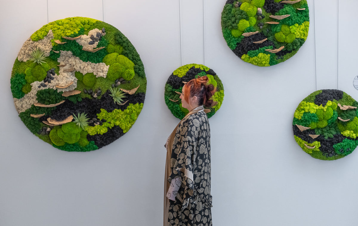 The Stillness Between Circle Collection