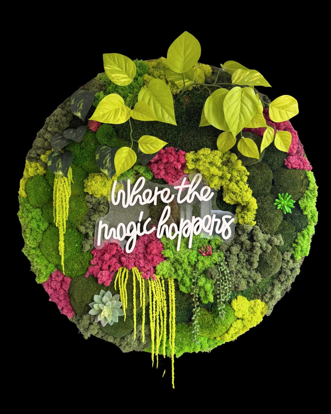 Where The Magic Happens