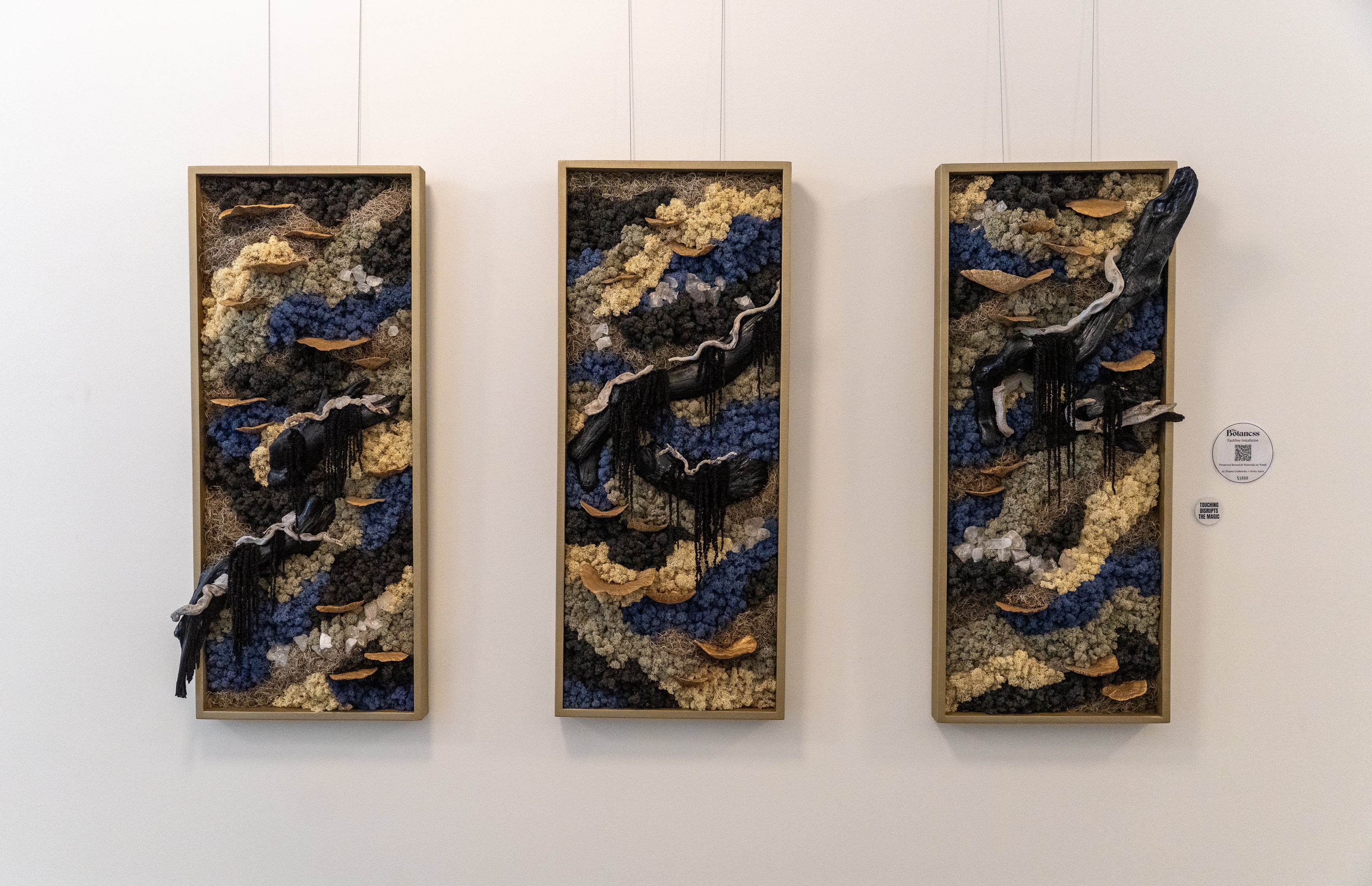 Faultline Installation