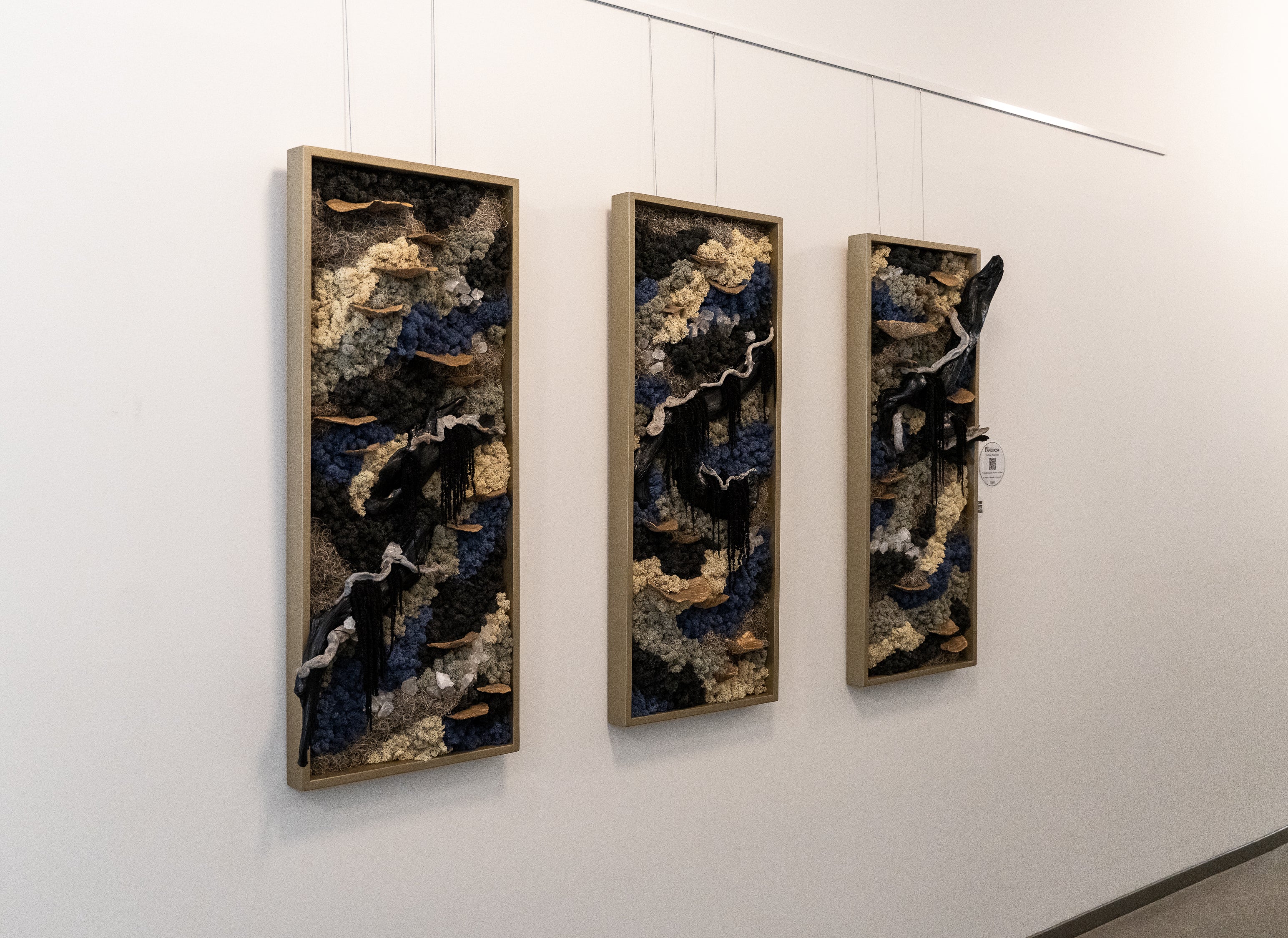 Faultline Installation