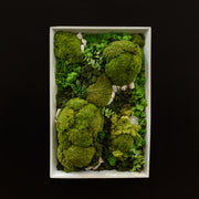 Rectangle Moss Wall