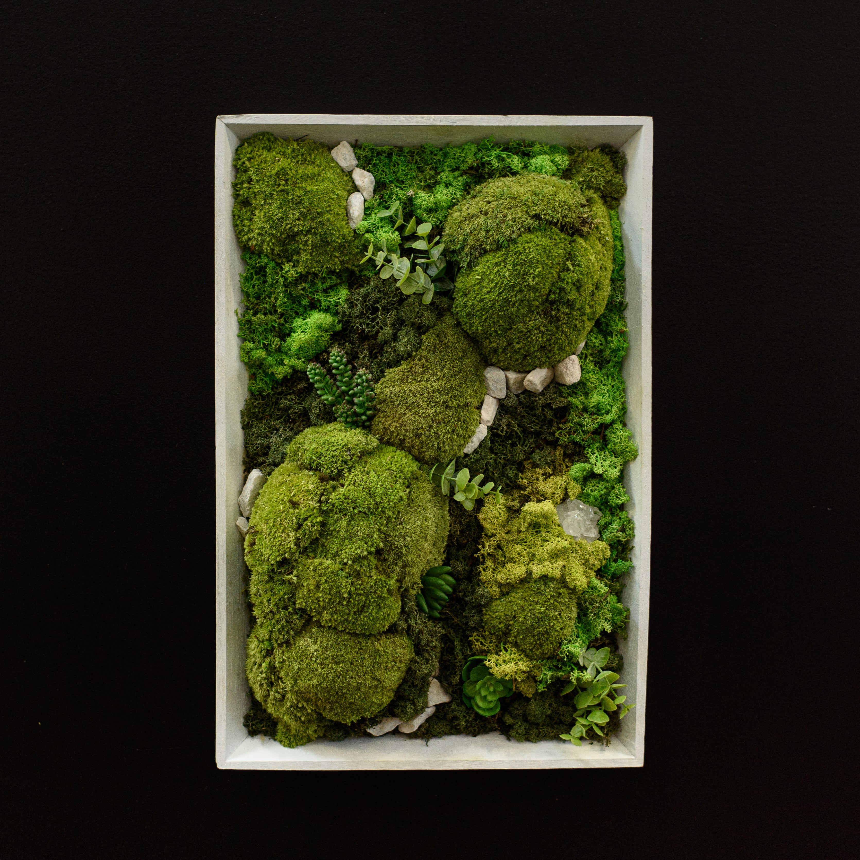 Rectangle Moss Wall