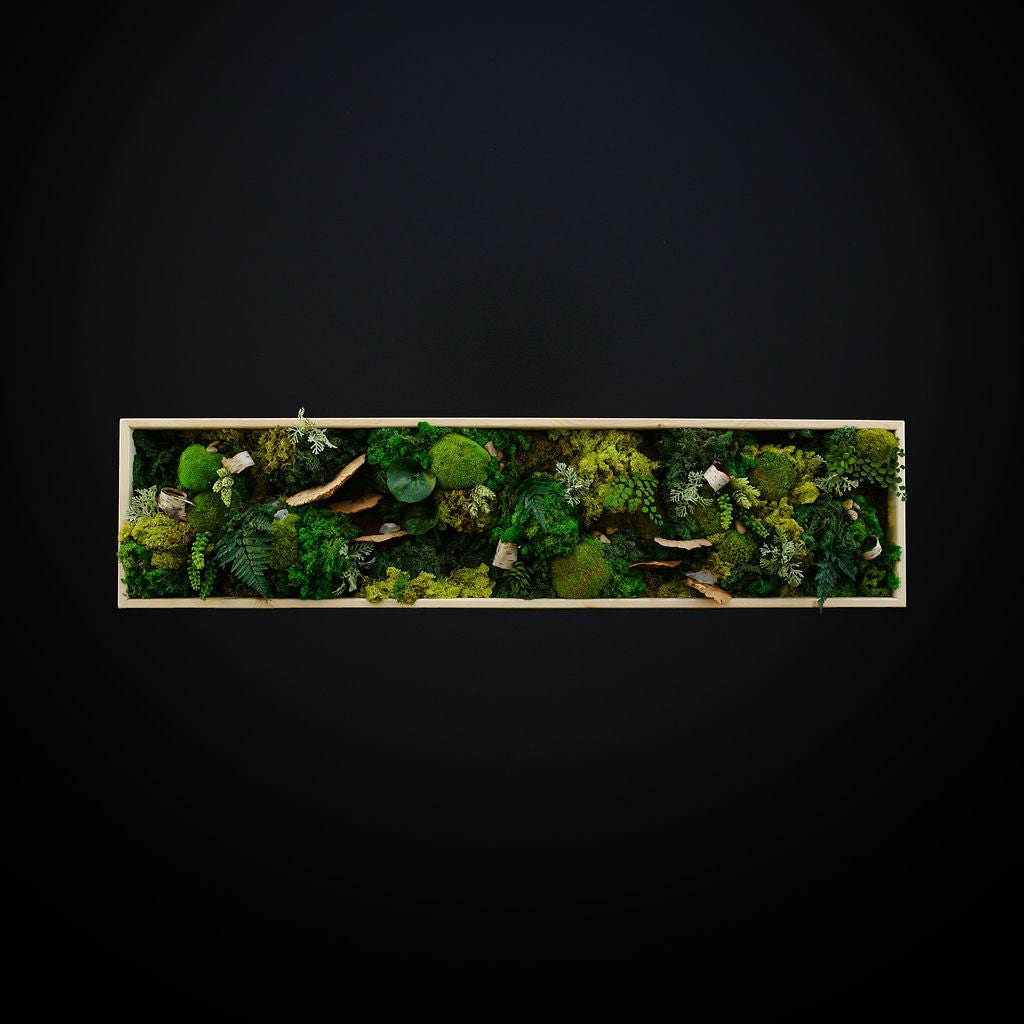 An image of the rectangle horiontal rainforest style