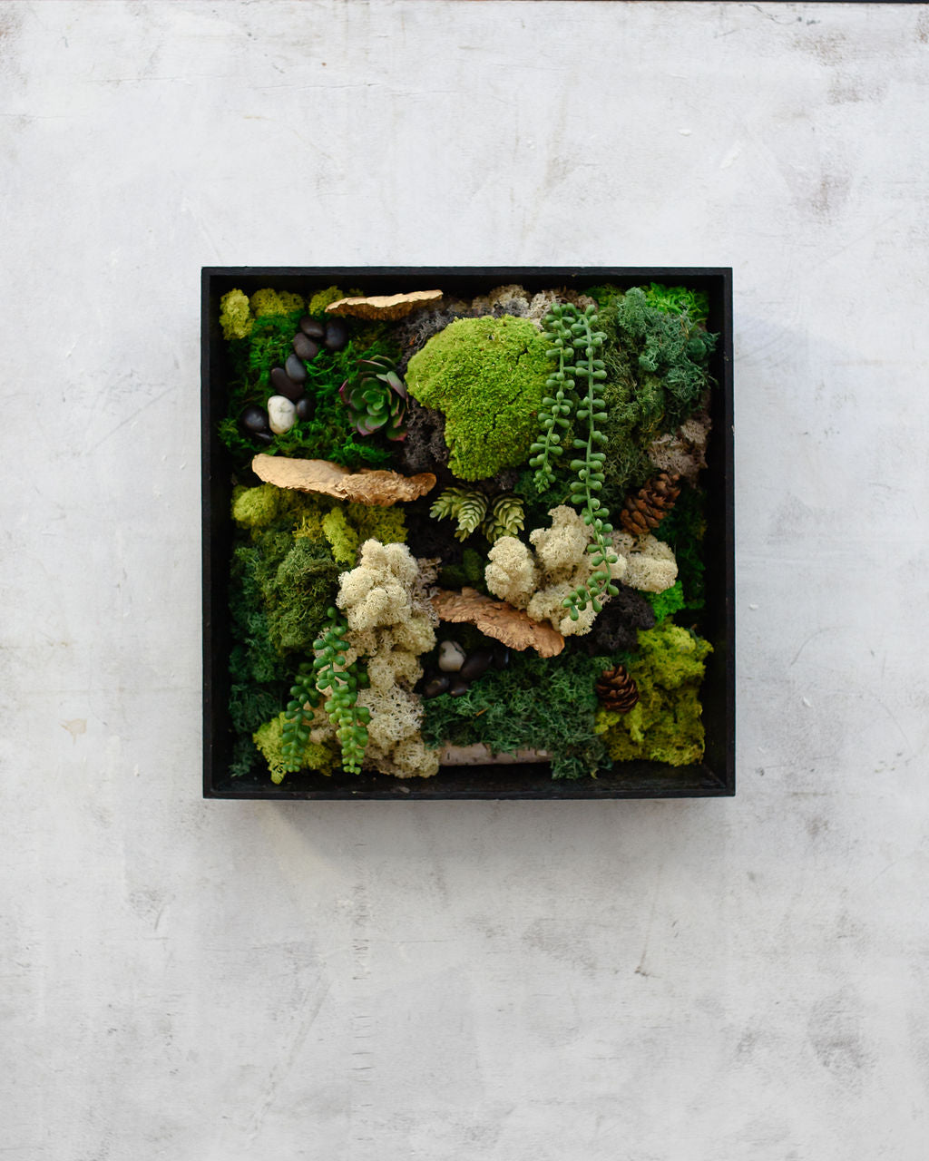 Custom Framed Moss Wall - Square