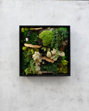 Custom Framed Moss Wall - Square