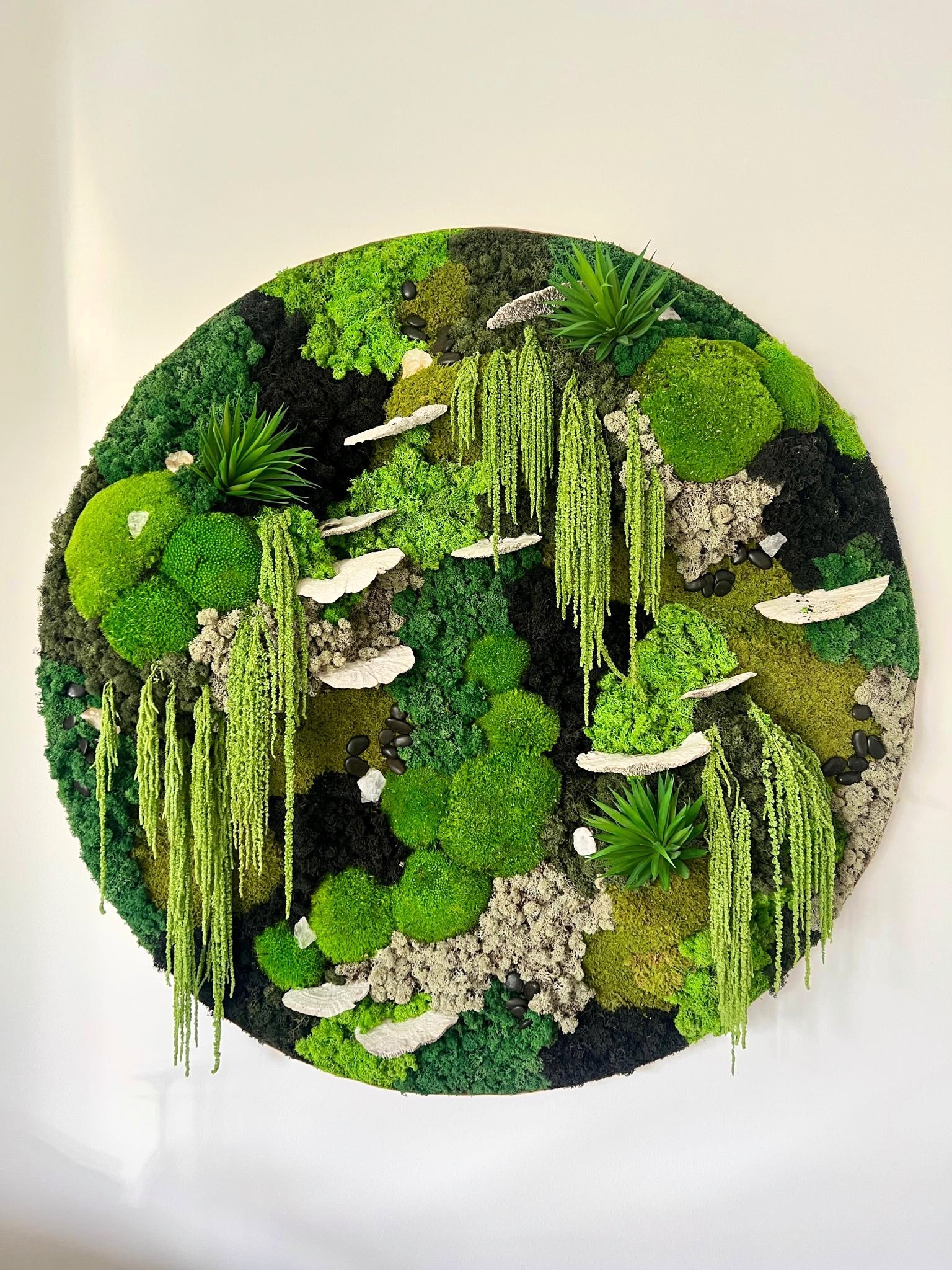 Custom Moss Wall - Circle