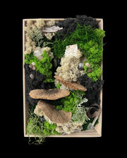 Rectangle Moss Wall